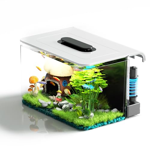 2.5 Gallon Modular Betta Fish Tank