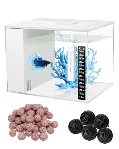 1 Gallon Charmshine Betta Starter Kit