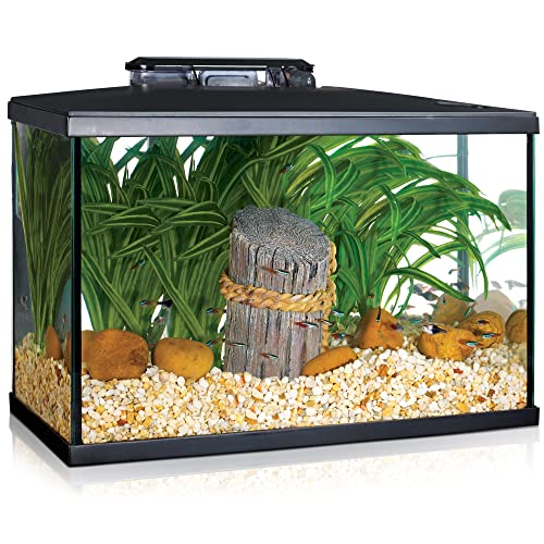 Marina 5 Gallon (19 L) LED Aquarium Kit – Ideal for Beginner Aquarists and New...