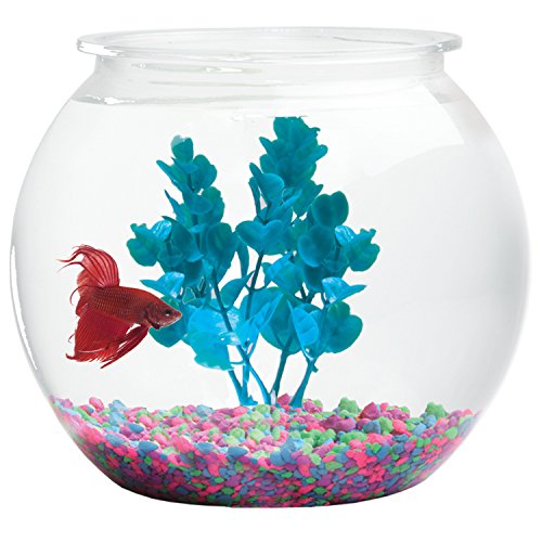 Aquatic Wonder 1 Gallon Fish Bowl