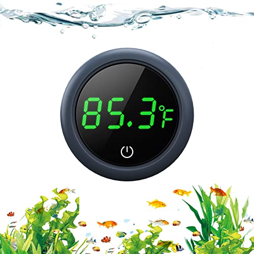 PAIZOO LED Display Thermometer