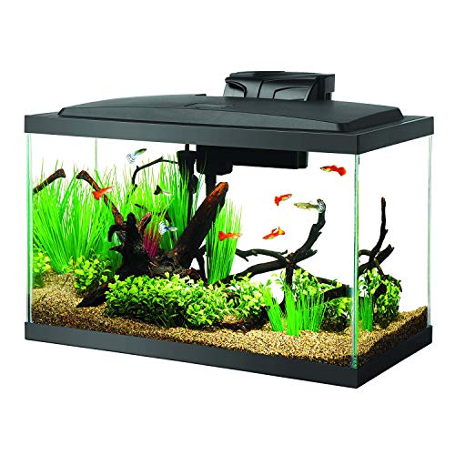 Aqueon 10 Gallon LED Kit