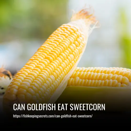 can goldfish eat sweetcorn