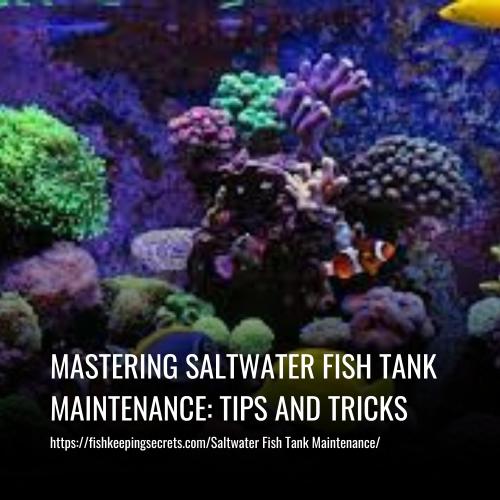 Mastering Saltwater Fish Tank Maintenance Tips and Tricks