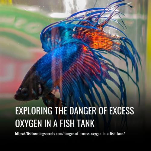 Exploring the Danger of Excess Oxygen in a Fish Tank